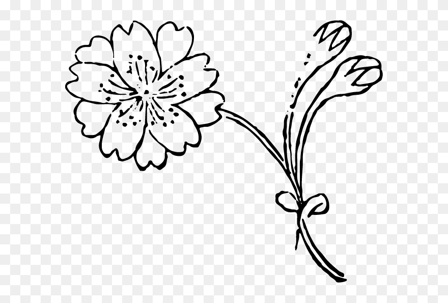 Free Ukiyo E Illustrations Of Cherry Blossom - Line Art Clipart