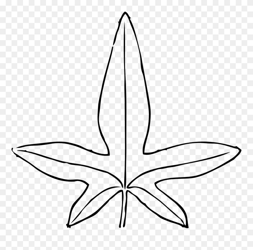 Line Art,plant,flora - Leaves Clip Art - Png Download