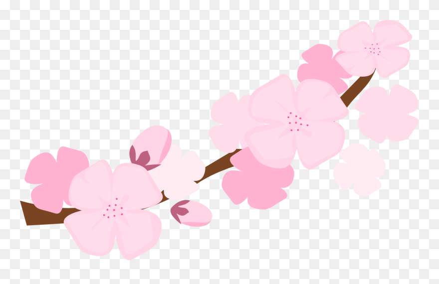 Cherry Blossom Clip Art - Cherry Blossoms Cartoon Background - Png Download