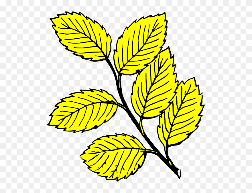 Leaves Clipart Black And White - Png Download