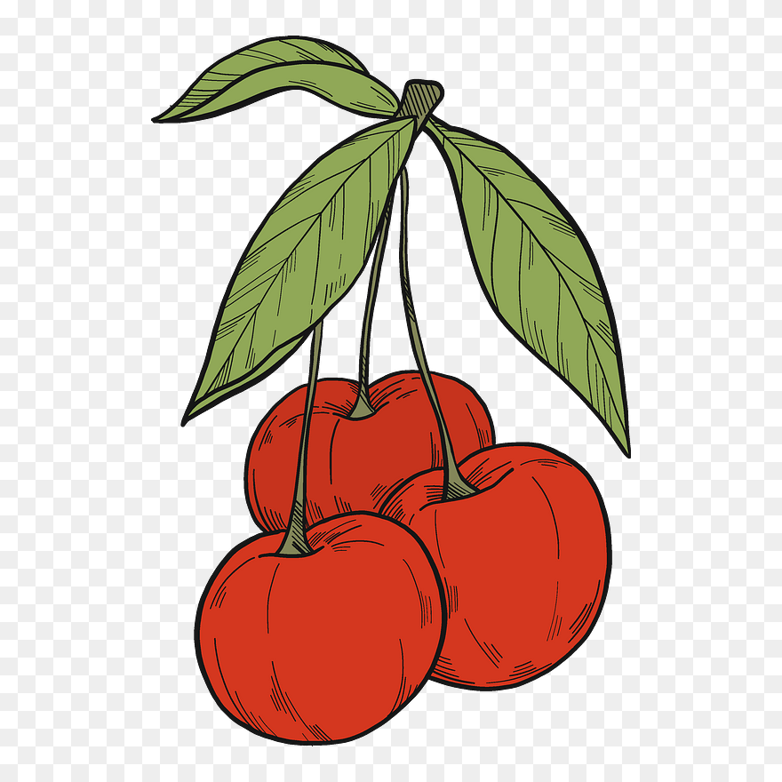 Cherries Clipart - Png Download