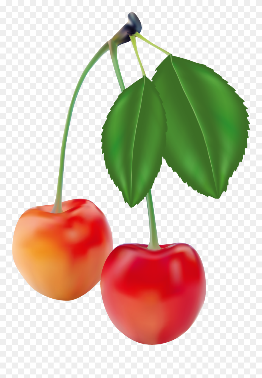 Realism Fruit Clipart