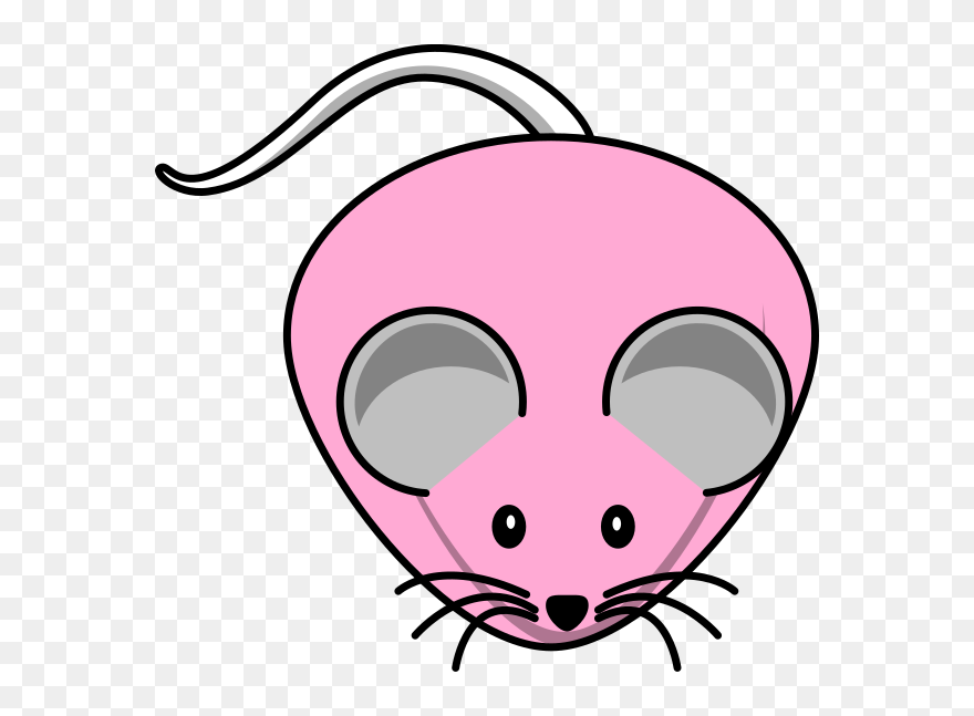 Cartoon Mouse Clipart