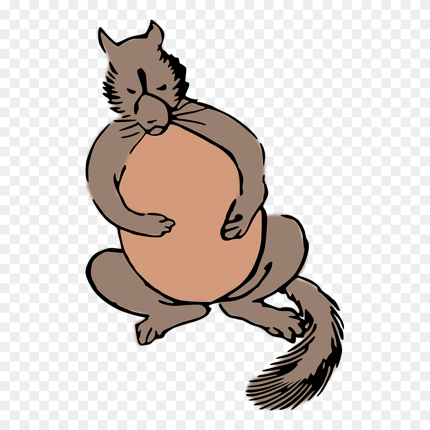 Raccoon Clipart - Raccoon Dog Clipart - Png Download