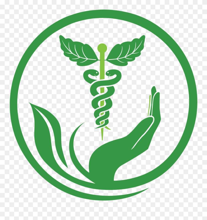 Naturopathy Services Health Medicine Herbalism Pharmacy - Herbal Medicine Logo Png Clipart