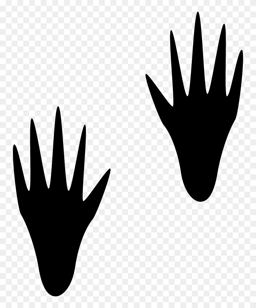 Raccoon Computer Mouse Footprint Computer Icons Pointer - Racoon Footprint Svg Clipart