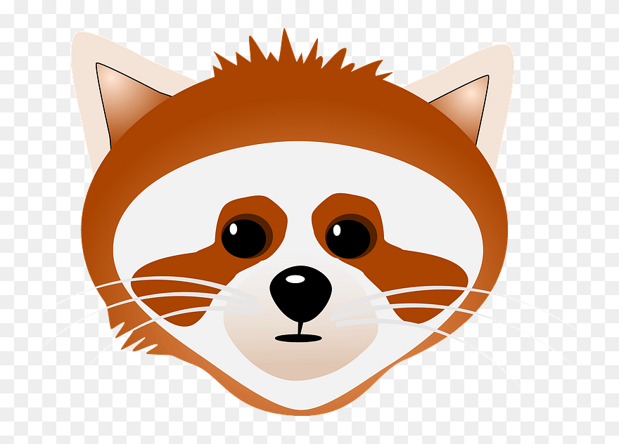Cartoon Raccoon Face Clipart - Cartoon - Png Download