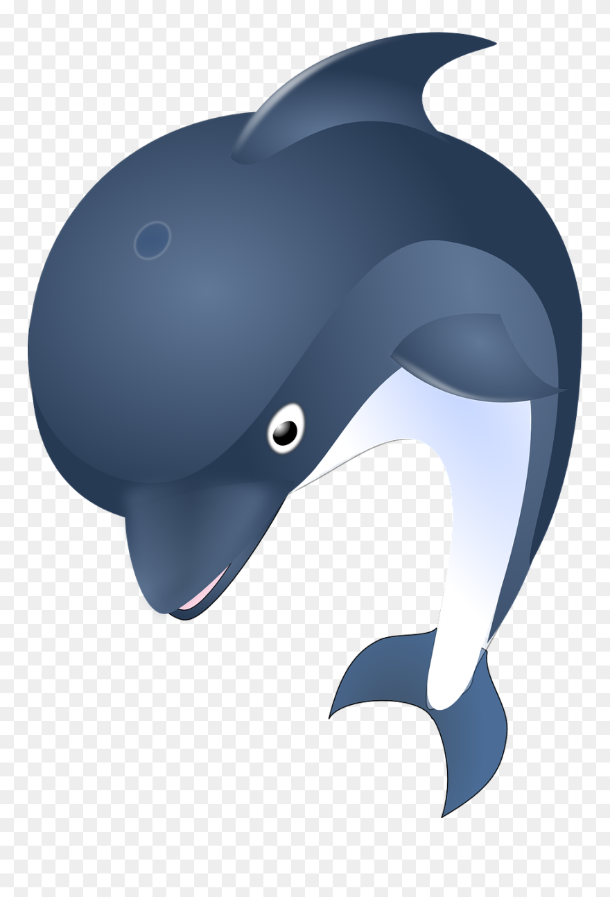Dolphins Image No Background Clipart