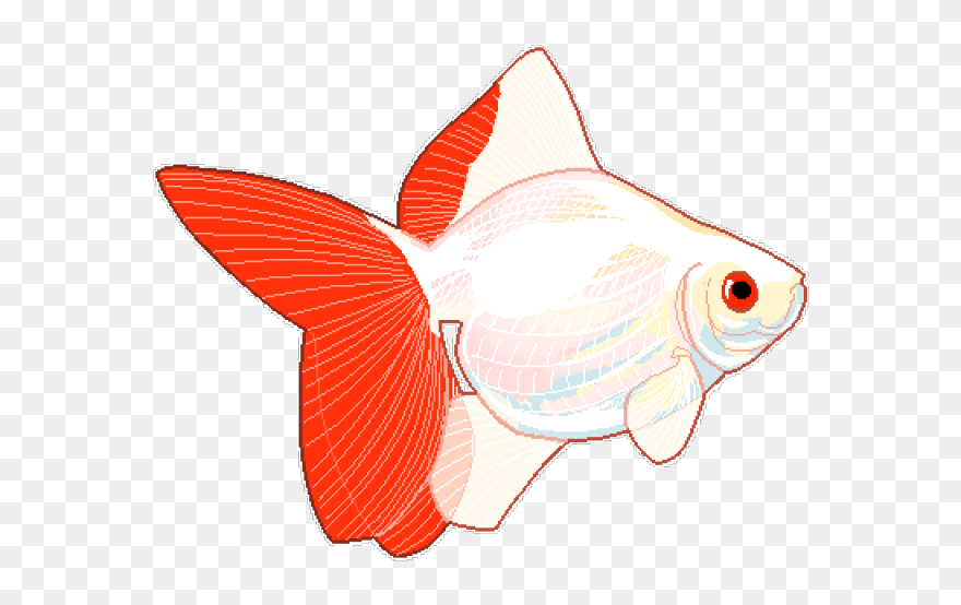 Fish Tumblr Png Clipart
