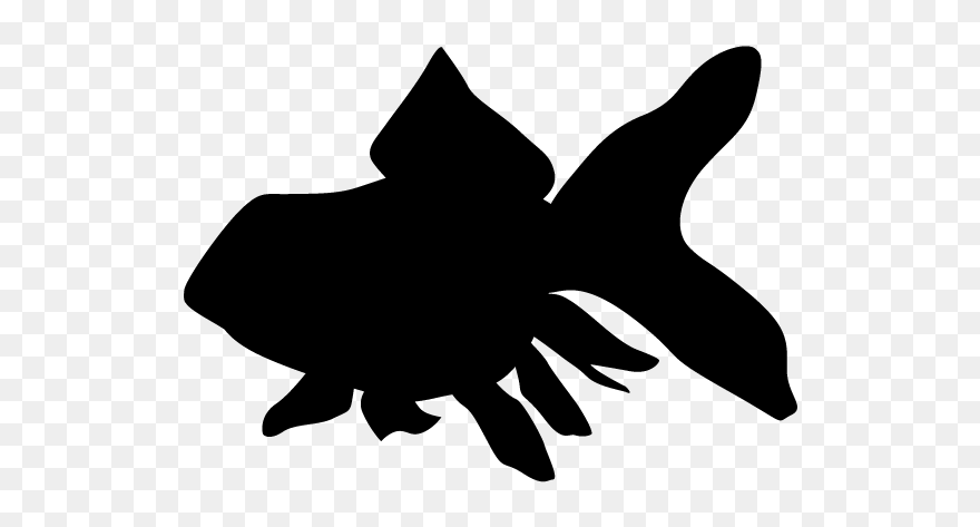 金魚 イラスト フリー 無料 Clipart