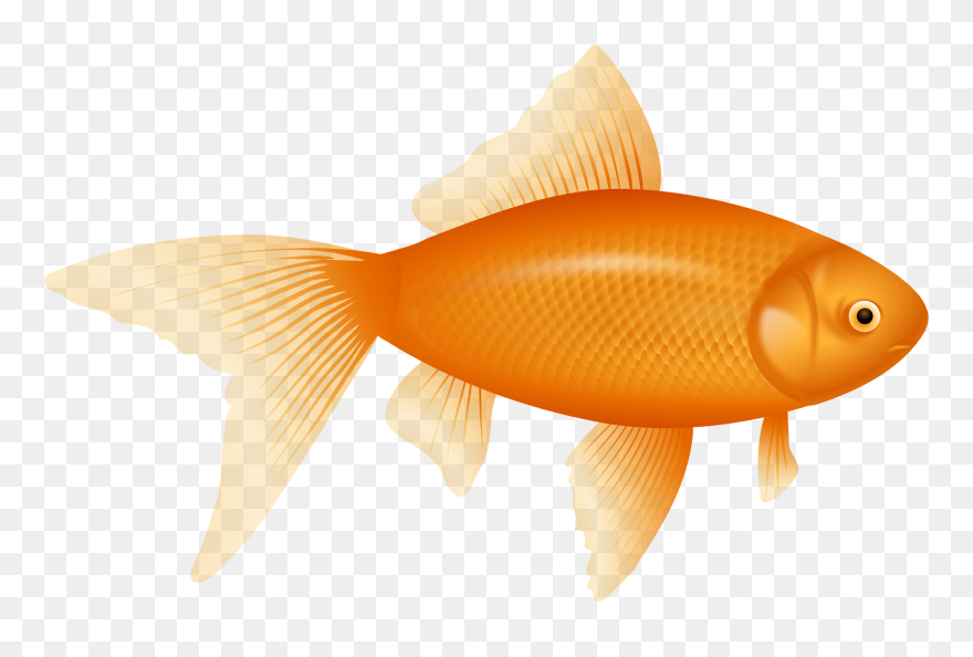 Goldfish Clipart Cheddar - Goldfish Clipart - Png Download
