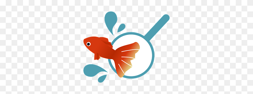 Goldfish Scooping Clipart - Png Download