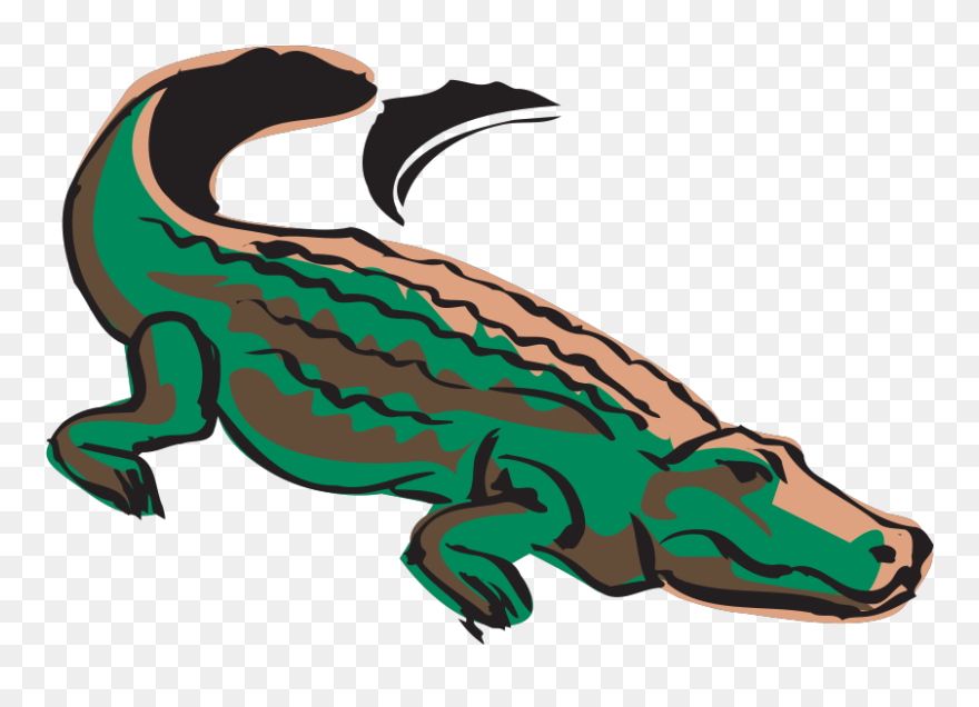 Dibujos Del Caiman Del Orinoco Clipart