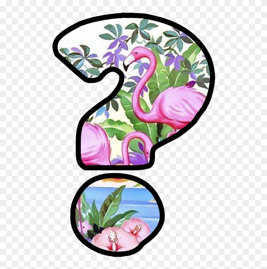 Letras Do Alfabeto Flamingo Clipart