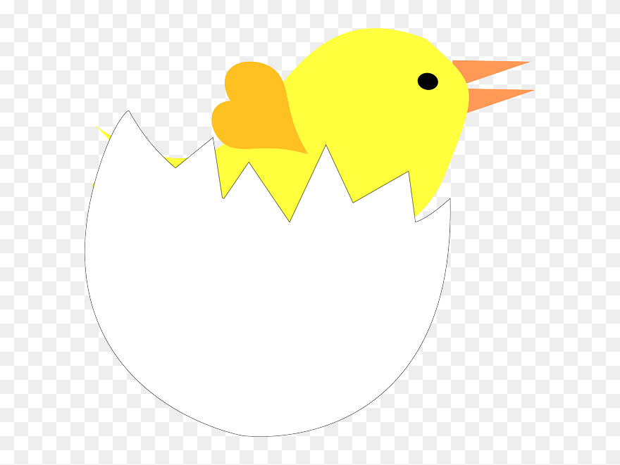 Chick In Cracked Eggshell - Kaip Nupiešti Kiaušinį Visciuka Clipart
