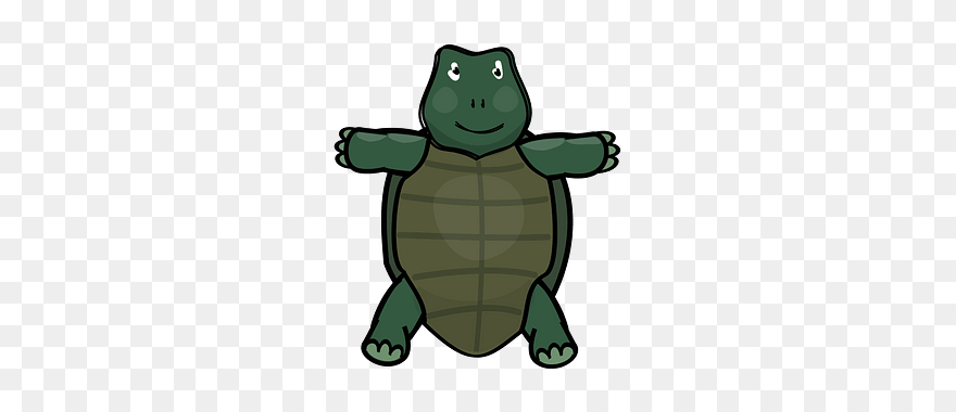 Cute Turtle Clipart - Cartoon - Png Download