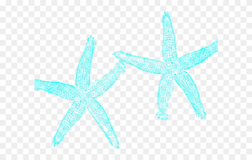 Transparent Starfish Clipart - Fish Clip Art - Png Download