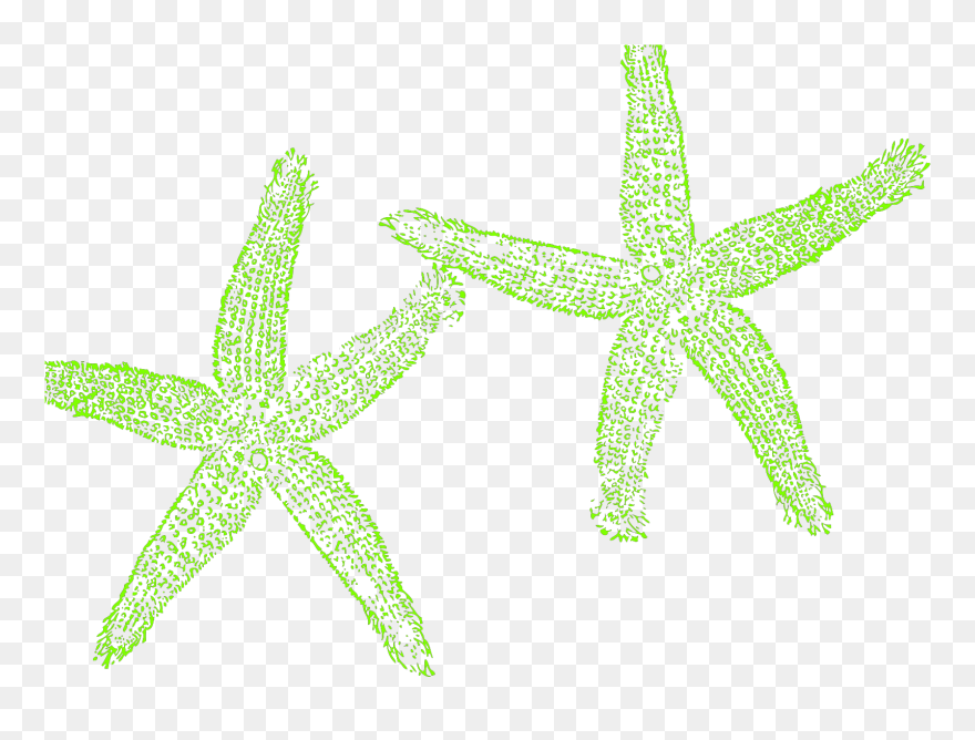 Fish Clip Art - Png Download