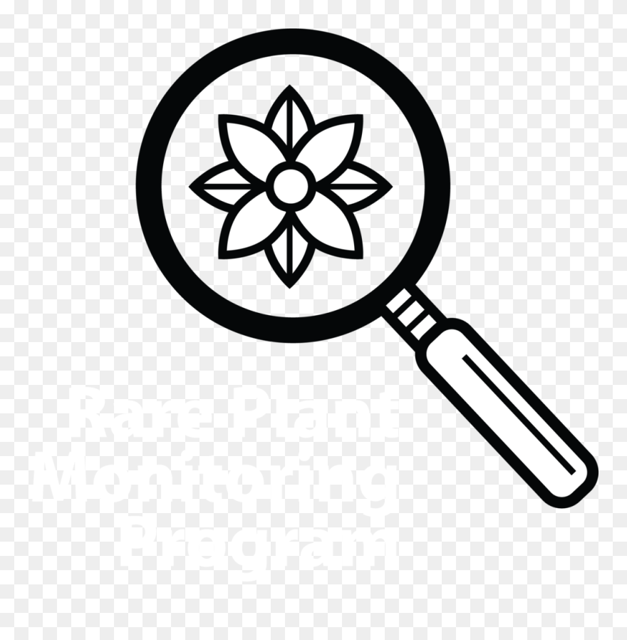 Logo Chittagong University - Vector Graphics Clipart