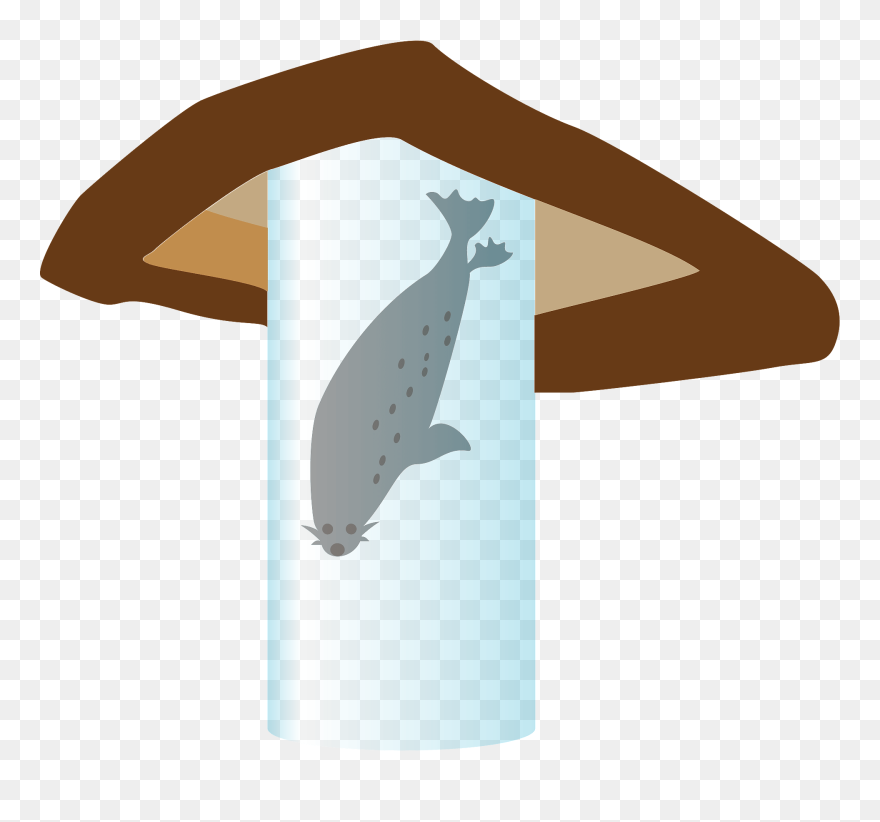 Spotted Seal Animal Clipart - Whale - Png Download