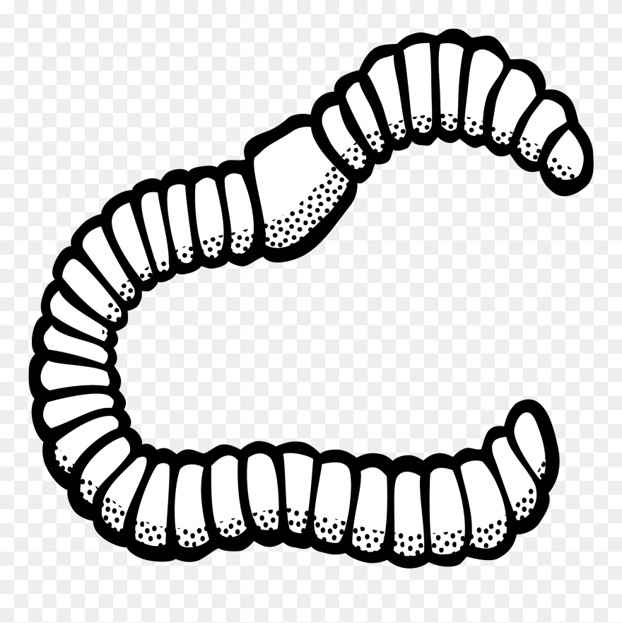 Clipart Worm Lineart - Worm Black And White Clipart - Png Download