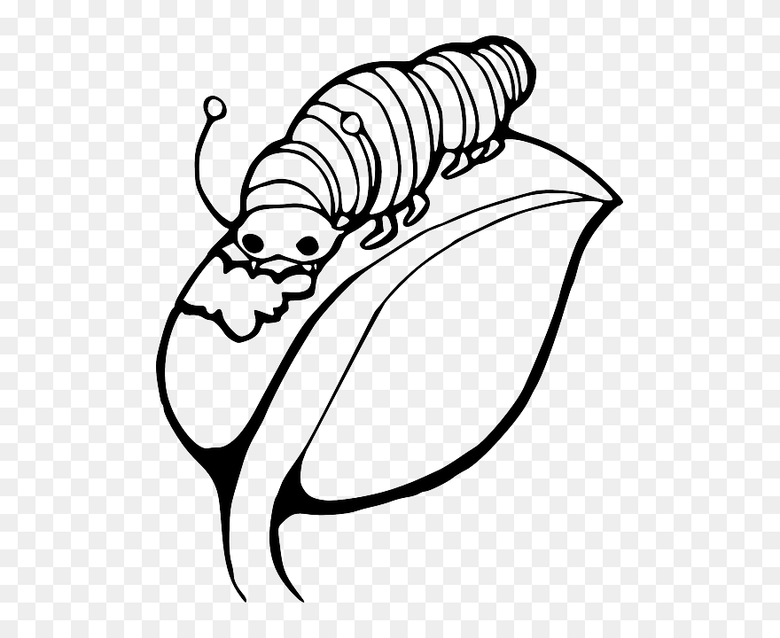 Worm Clipart Cutterpillar - Caterpillar On A Leaf - Png Download