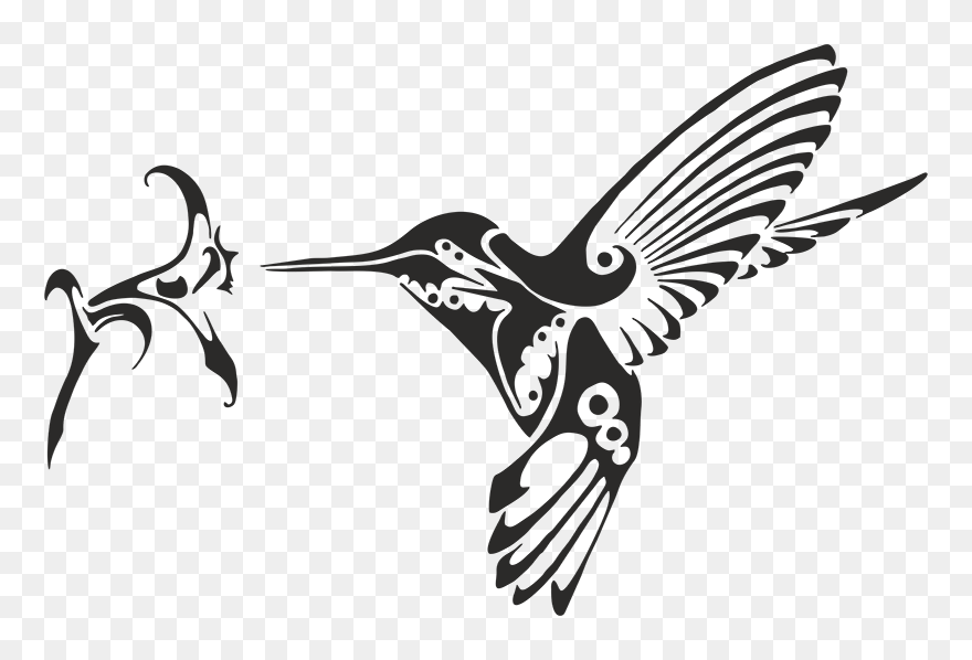 Hummingbird Tattoo Png - Hummingbird With Flower Vector Clipart