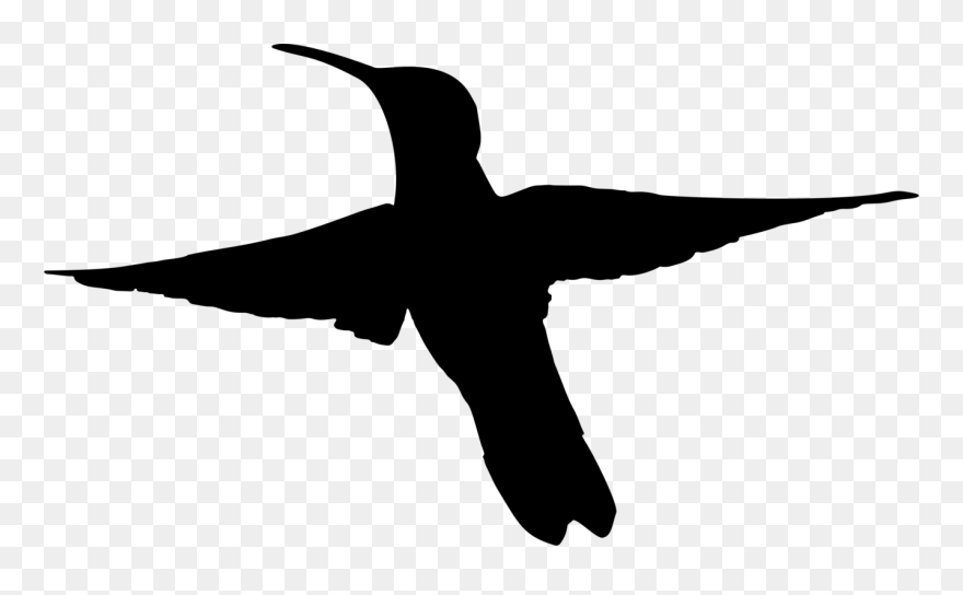 Duck,silhouette,neck - Black Hummingbird Flying Clipart - Png Download