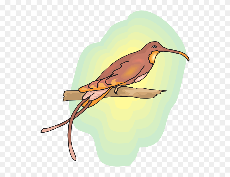 Clip Art - Png Download