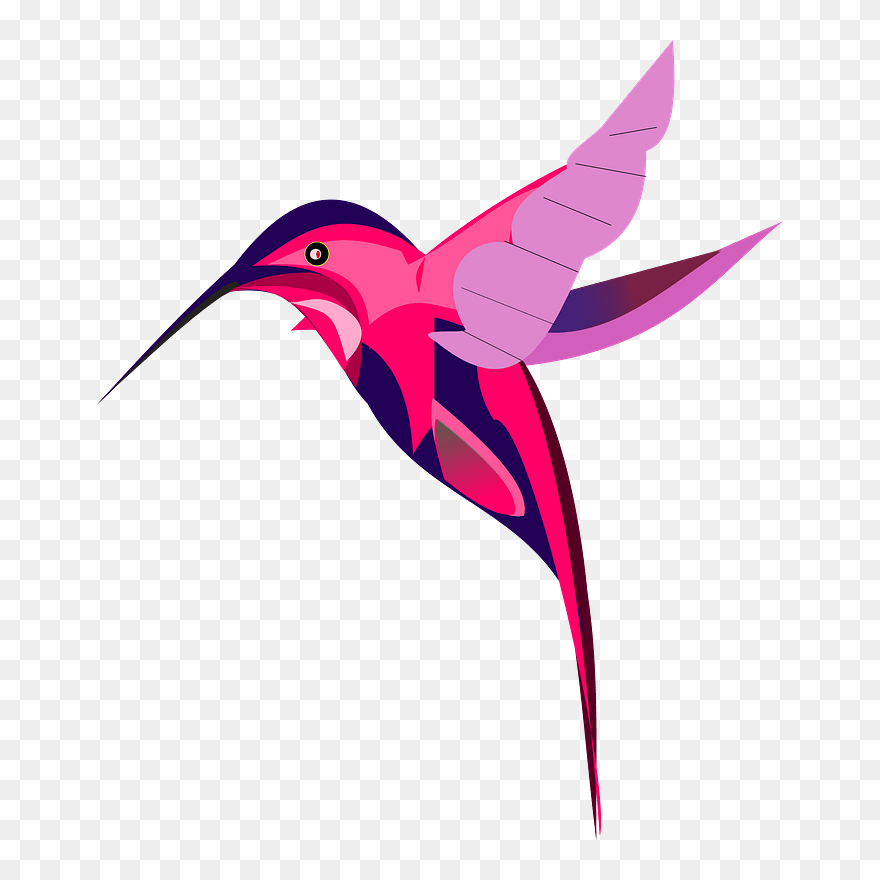 Pink Hummingbird Clipart - Clip Art Hummingbird Cartoon - Png Download