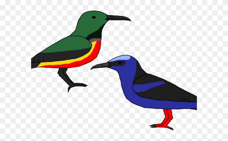 Hummingbird Clipart