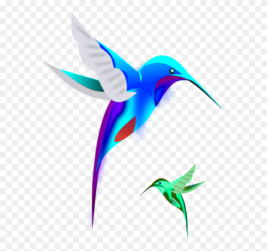 Transparent Flying Bird Clipart - Colourful Birds Flying Cartoon - Png Download