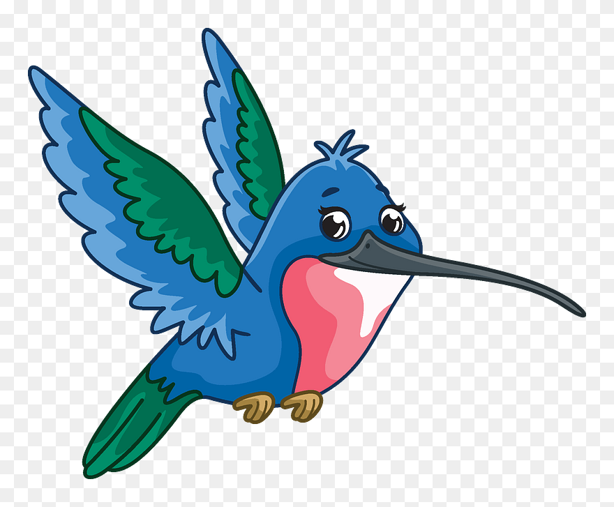 Hummingbird Clipart - Rufous Hummingbird - Png Download