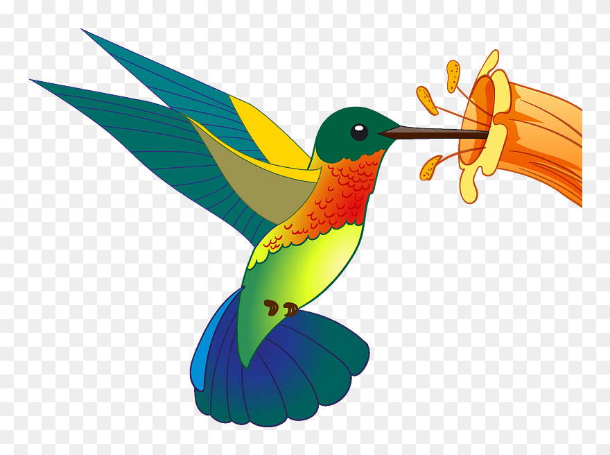 Hummingbird Clipart - Ruby-throated Hummingbird - Png Download
