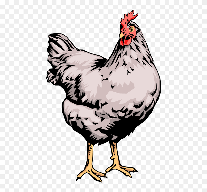 Animals Playing Football Clipart Jpg Stock Quality - Live Chicken Clip Art - Png Download