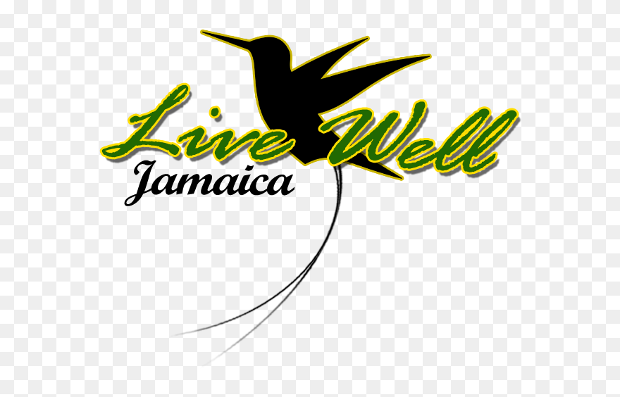 Jamaican Drawing Hummingbird - Graphic Design Clipart