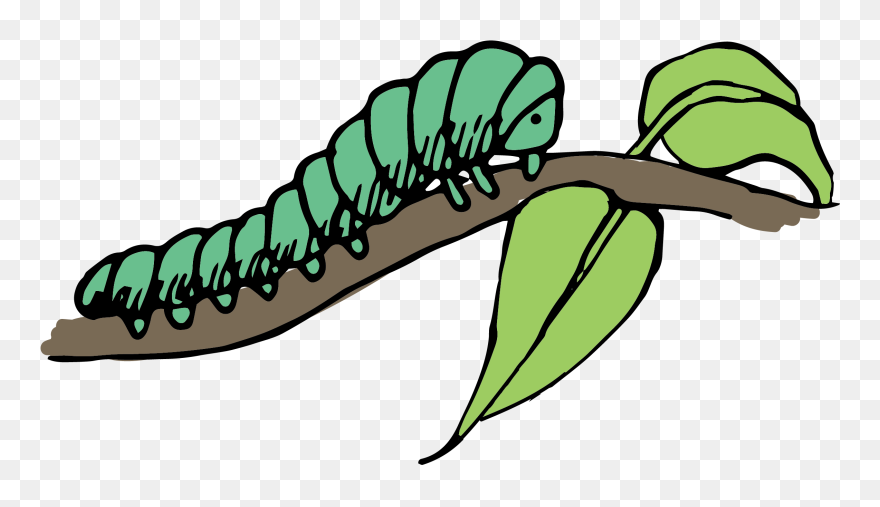 Caterpillar Clip Art - Caterpillar On Branch Clipart - Png Download