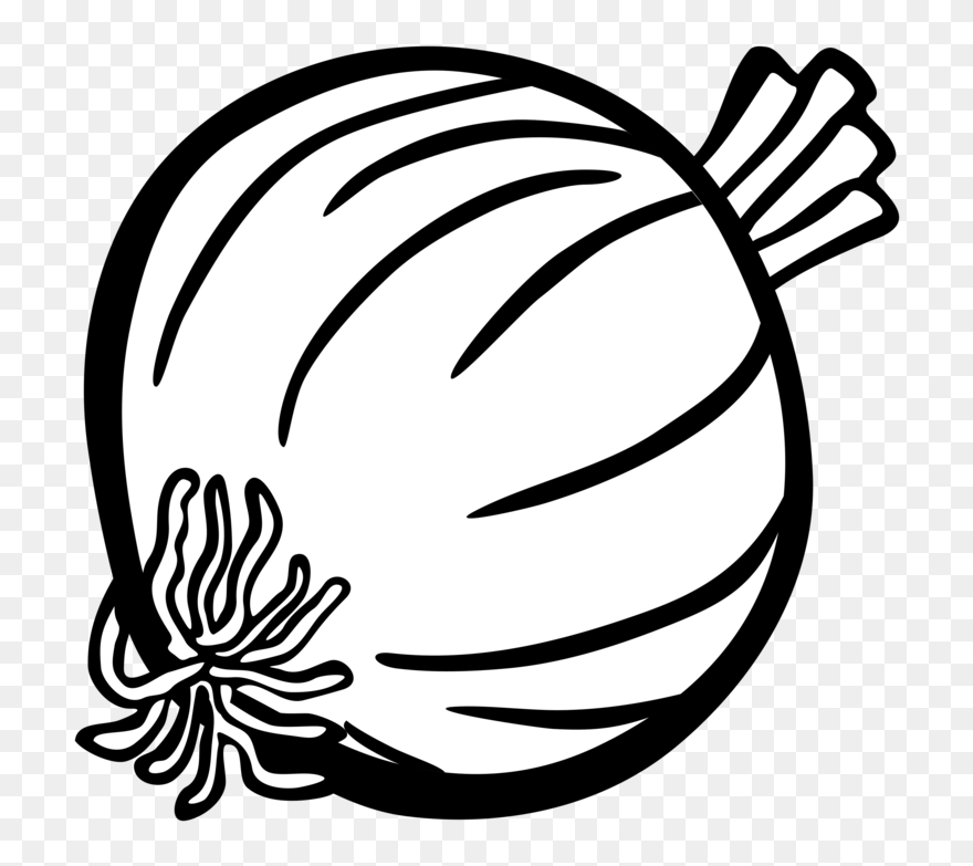White Onion Drawing Vegetable Computer Icons Cc0 - Onion Clipart Black And White - Png Download