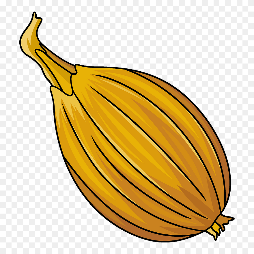 Onion Clipart - Png Download