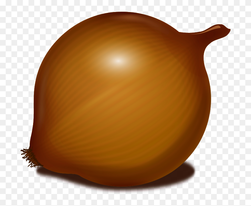 Onion - Onion Clipart No Background - Png Download