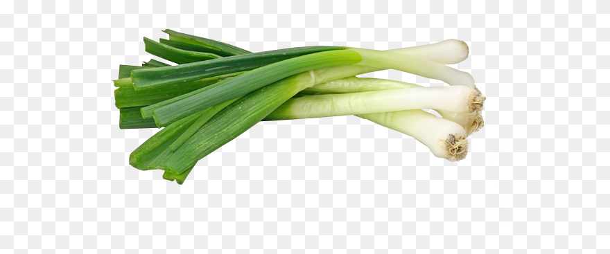 Onion Clipart Spring Onion, Onion Spring Onion Transparent - Transparent Green Onion Png