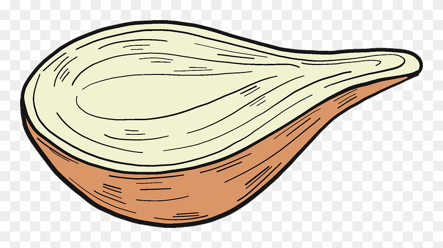Half Onion Clipart - Png Download