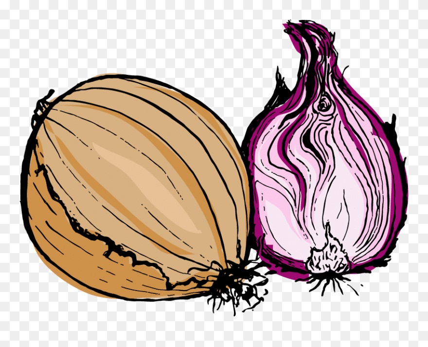 Red Onion Clipart