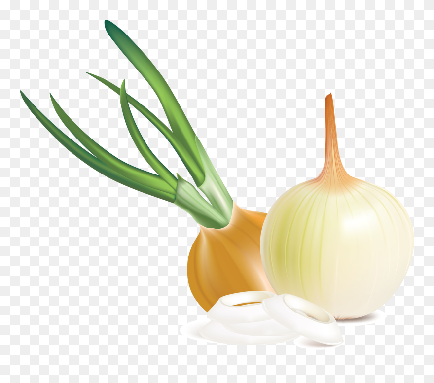 Onion Clipart - Png Download