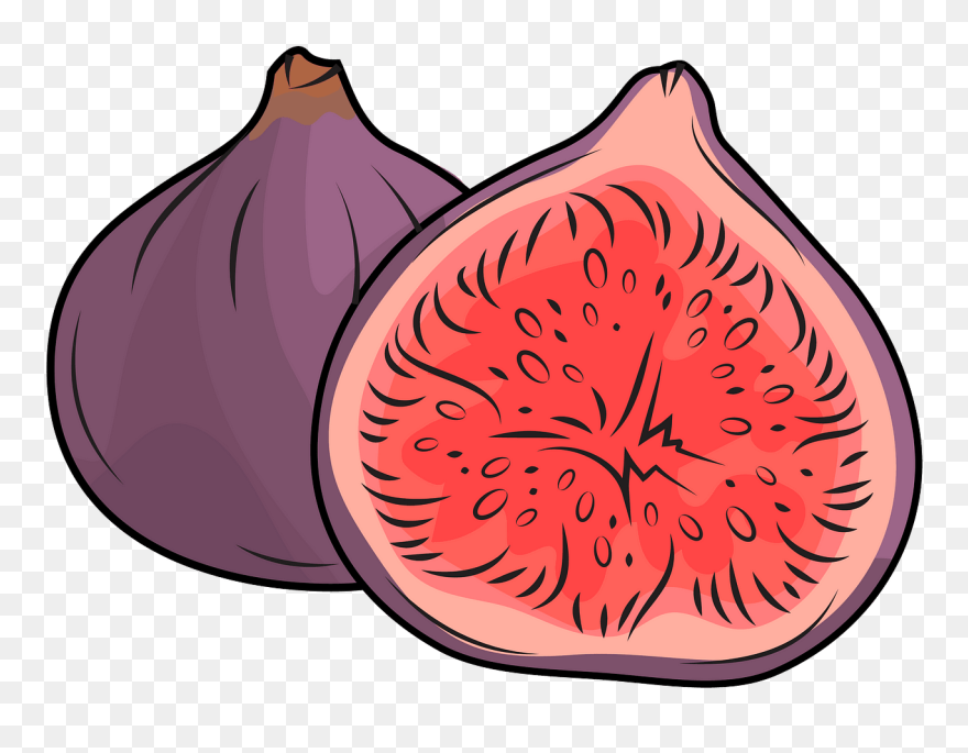 Figs Clipart - Red Onion - Png Download