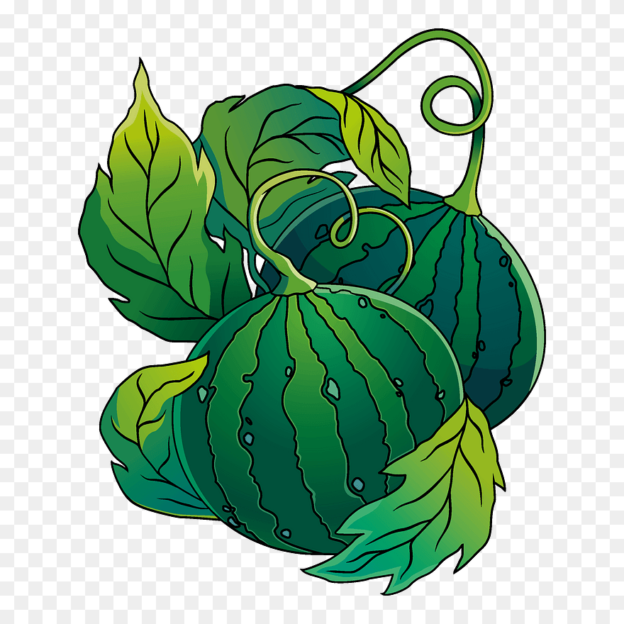 Watermelon Clipart - Png Download