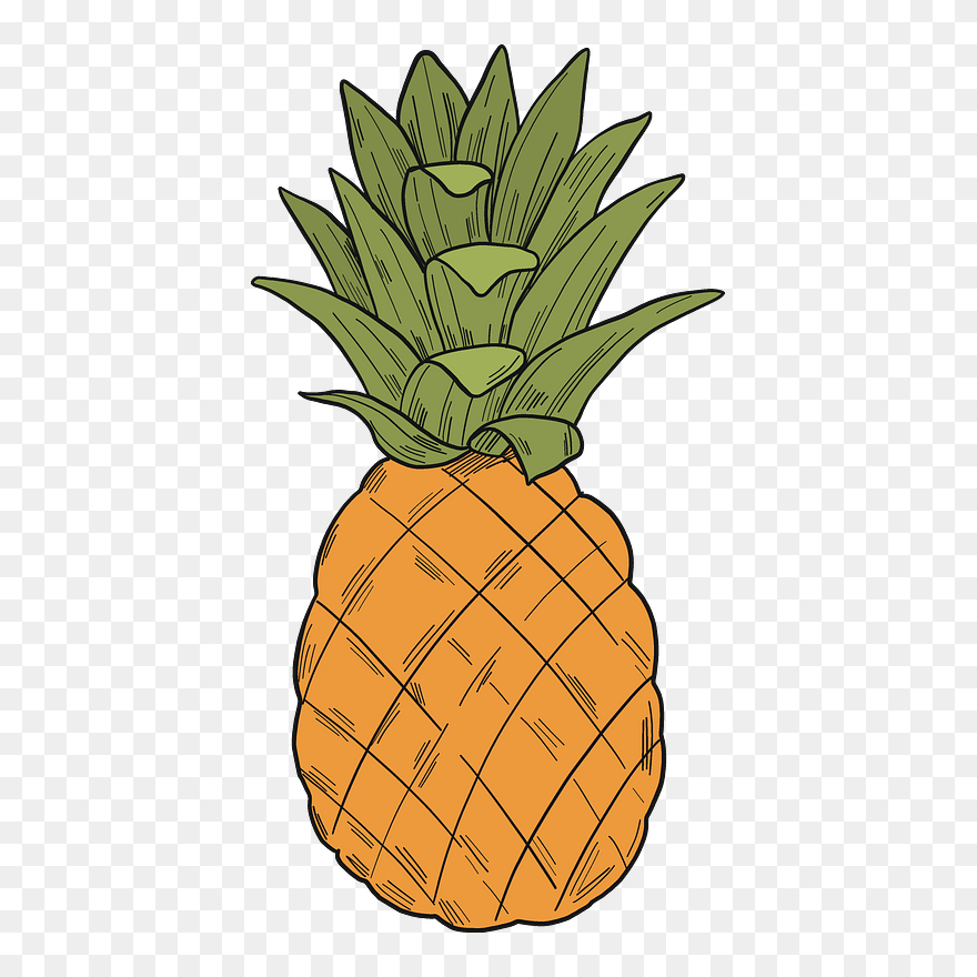 Pineapple Clipart - Pineapple - Png Download
