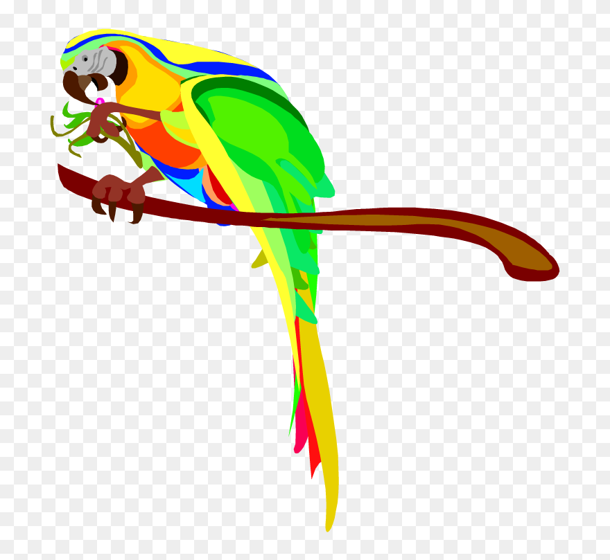 Transparent Eating Clipart - Parrot Eating Clipart - Png Download