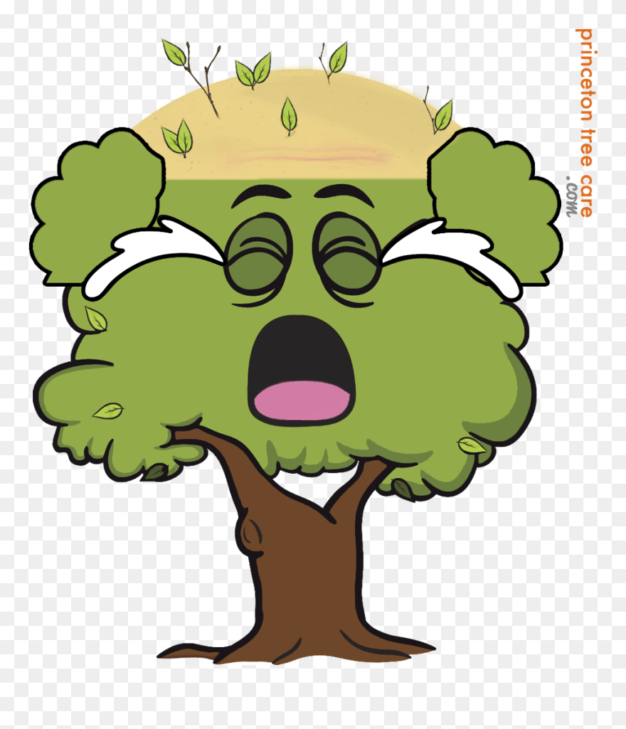 Transparent Kids Putting Toys Away Clipart - Tree With Face Clipart - Png Download