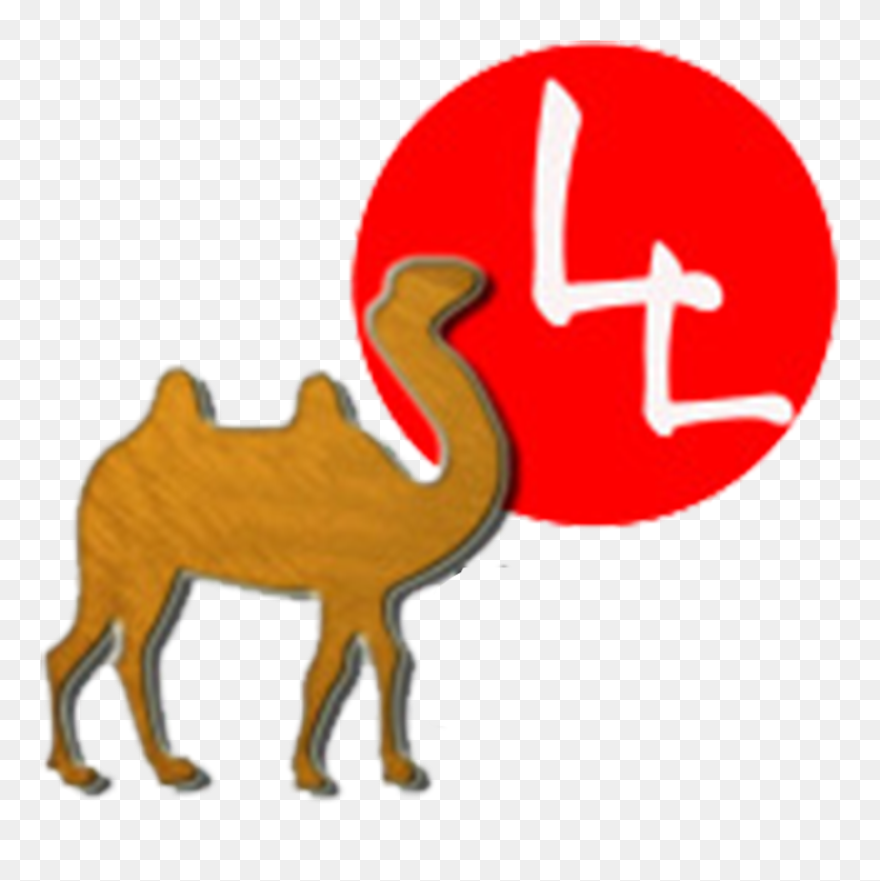 Transparent Llama Clipart - Clip Art - Png Download